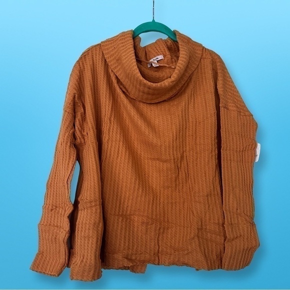 NWT Free People Juicy Long Sleeve Top size X-Small in canyon moon - Picture 3 of 6